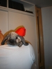 dsc02815.jpg