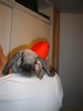dsc02816.jpg