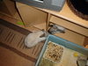 dsc02118.jpg