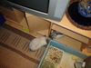 dsc02119.jpg