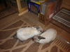 dsc02122.jpg