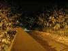 pc230217.jpg