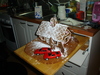 dsc02808.jpg