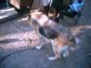 juhannus_0068.jpg