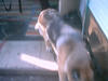 juhannus_0069.jpg