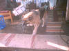 juhannus_0070.jpg