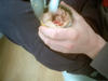 juhannus_0093.jpg