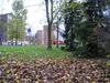 p1010005.jpg