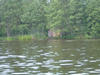 dscf0063.jpg