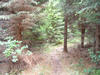 dscf0065.jpg
