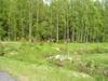 p1010008.jpg
