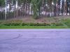 p8030001_11.jpg