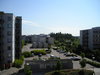p7060242.jpg