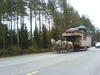 dsc00430.jpg