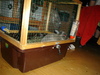 dsc02287.jpg