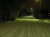p1010007.jpg