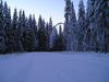 p1010017.jpg
