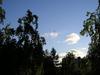 p5230003.jpg