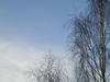 pb150006.jpg