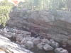 dsc00116.jpg