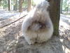 dsc00117.jpg