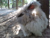 dsc00118.jpg