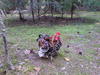 dsc00119.jpg