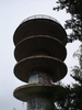 dsc02737.jpg