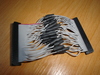 dsc02103.jpg