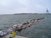 p1090002.jpg