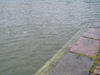 p1090018.jpg