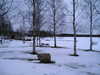 p1020043.jpg
