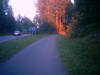 serena_0016.jpg