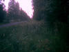 serena_0019.jpg